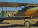 Albatros D.Va 5284/17 reproduction built by The Vintage Aviator LTD